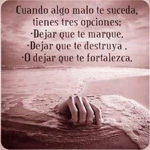 Meet your Posher, Yari